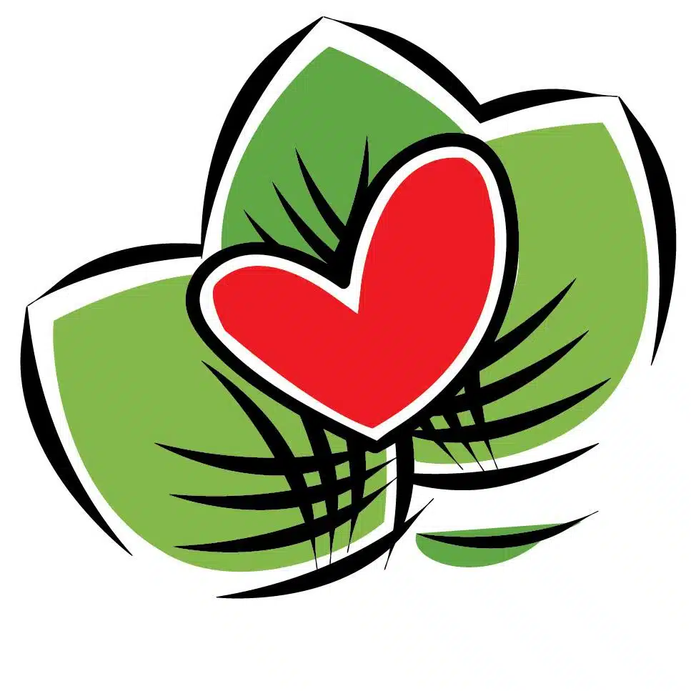 PACT Recovery Connection - Thumbnail 7