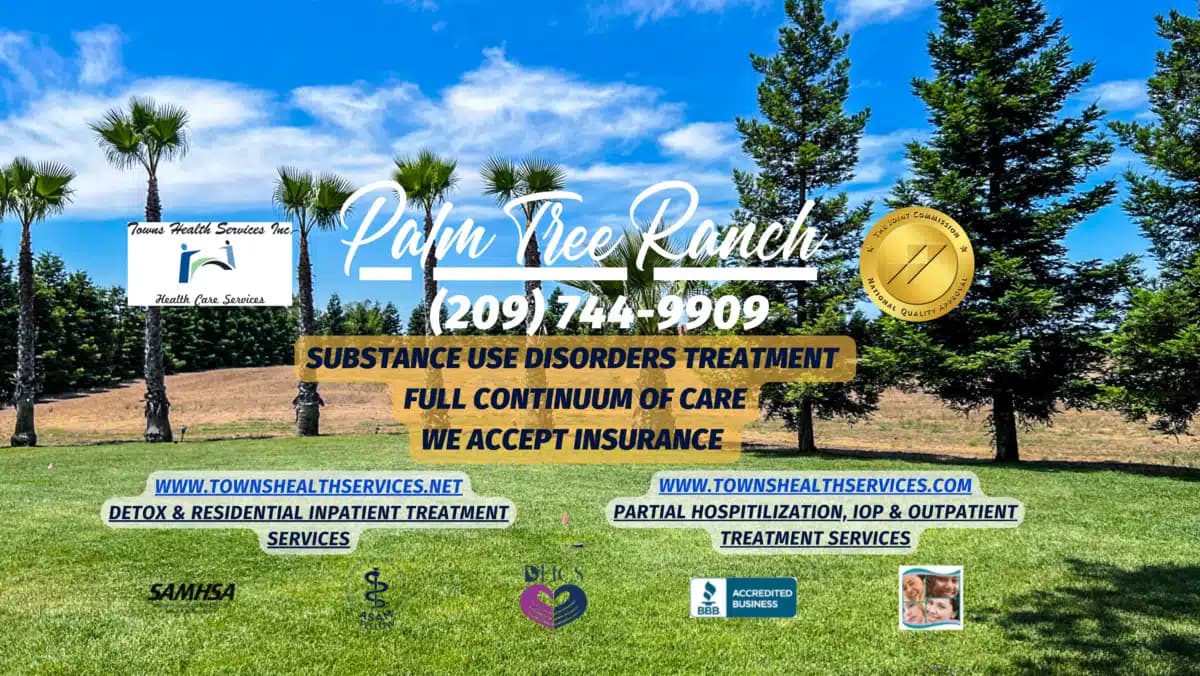 Palm Tree Ranch - Thumbnail 3