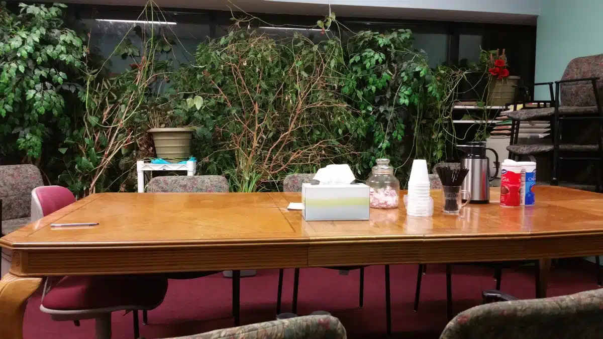 Paramos Counseling Center - Thumbnail 4