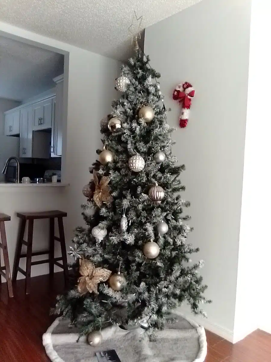 Park Place Behavioral Healthcare - Thumbnail 4