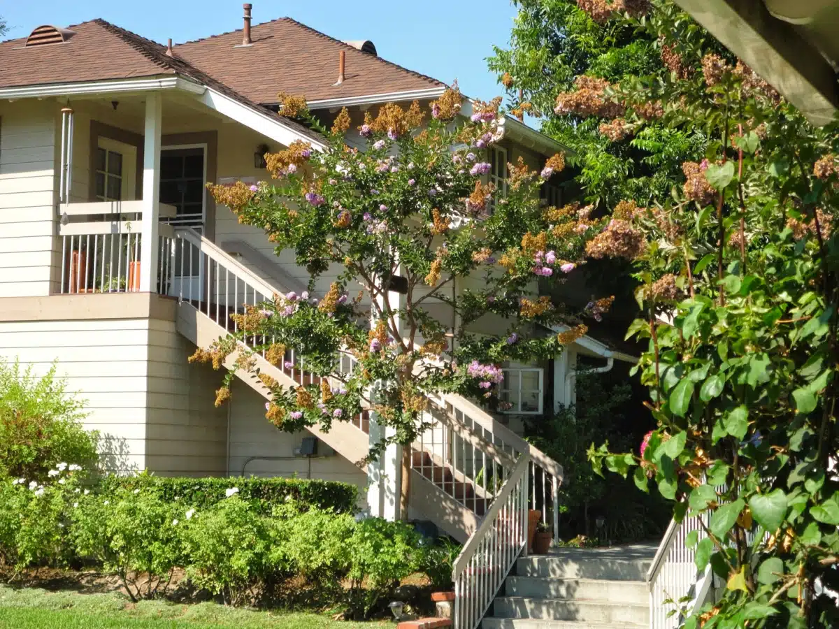 Pasadena Council on Alcoholism and - Thumbnail 2