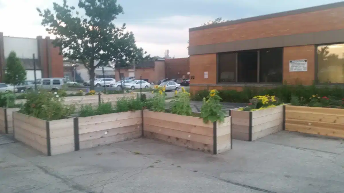 Peer Services at - Thumbnail 5