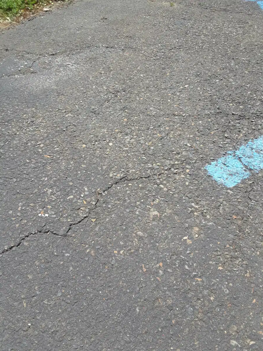 People Acting to Help Inc (PATH) - Thumbnail 10