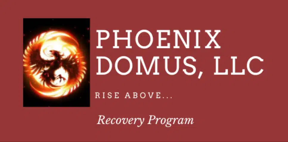 Phoenix Domus LLC - Thumbnail 3