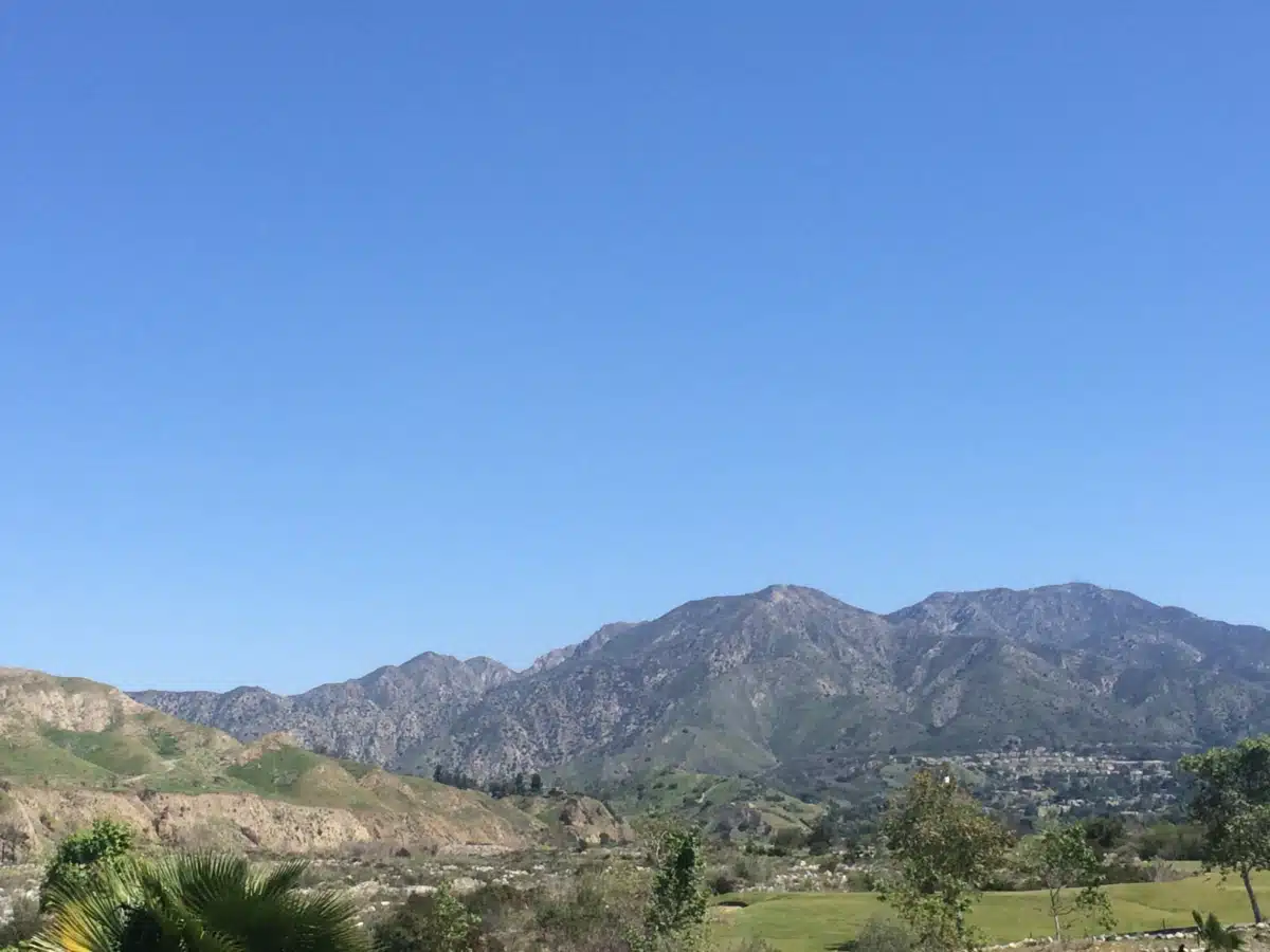 Phoenix House of Los Angeles Inc - Thumbnail 4