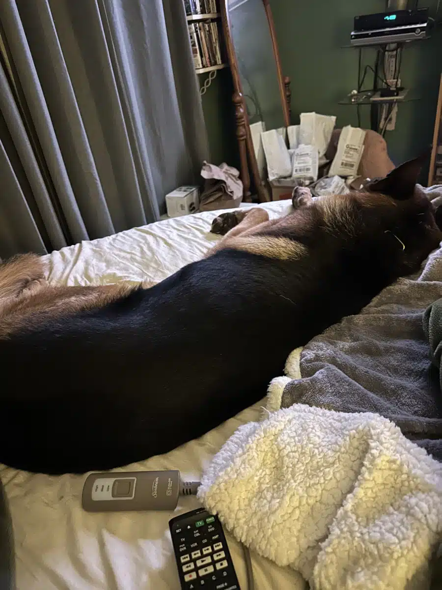 Positive Steps Inc - Thumbnail 7