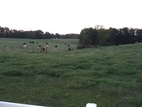 Potters House - Thumbnail 9