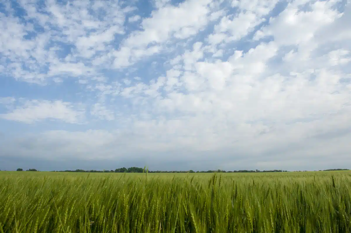 Prairie View Inc - Thumbnail 3