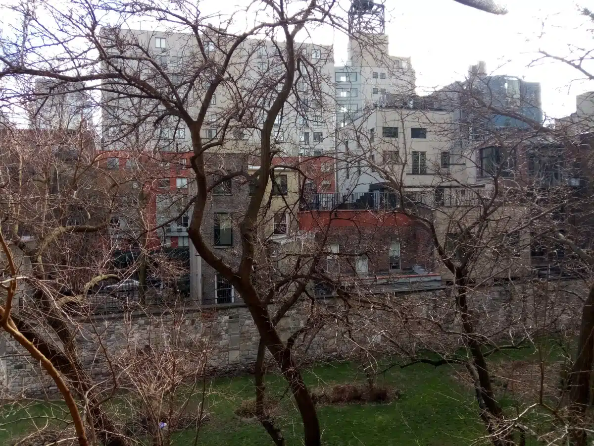 Project Renewal - Thumbnail 8