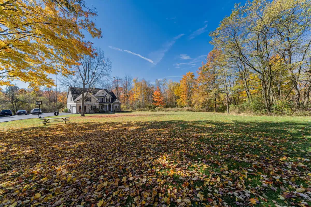 Prosperity Haven - Thumbnail 3