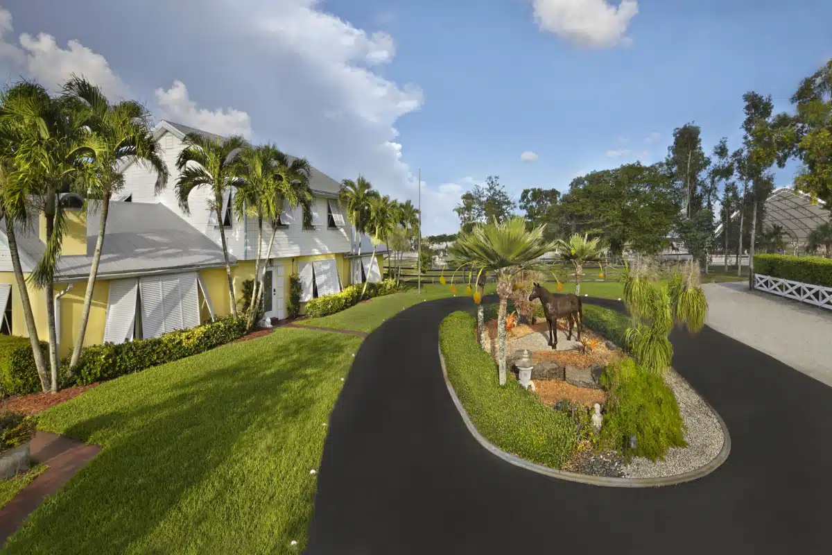 RECO Intensive - Thumbnail 3