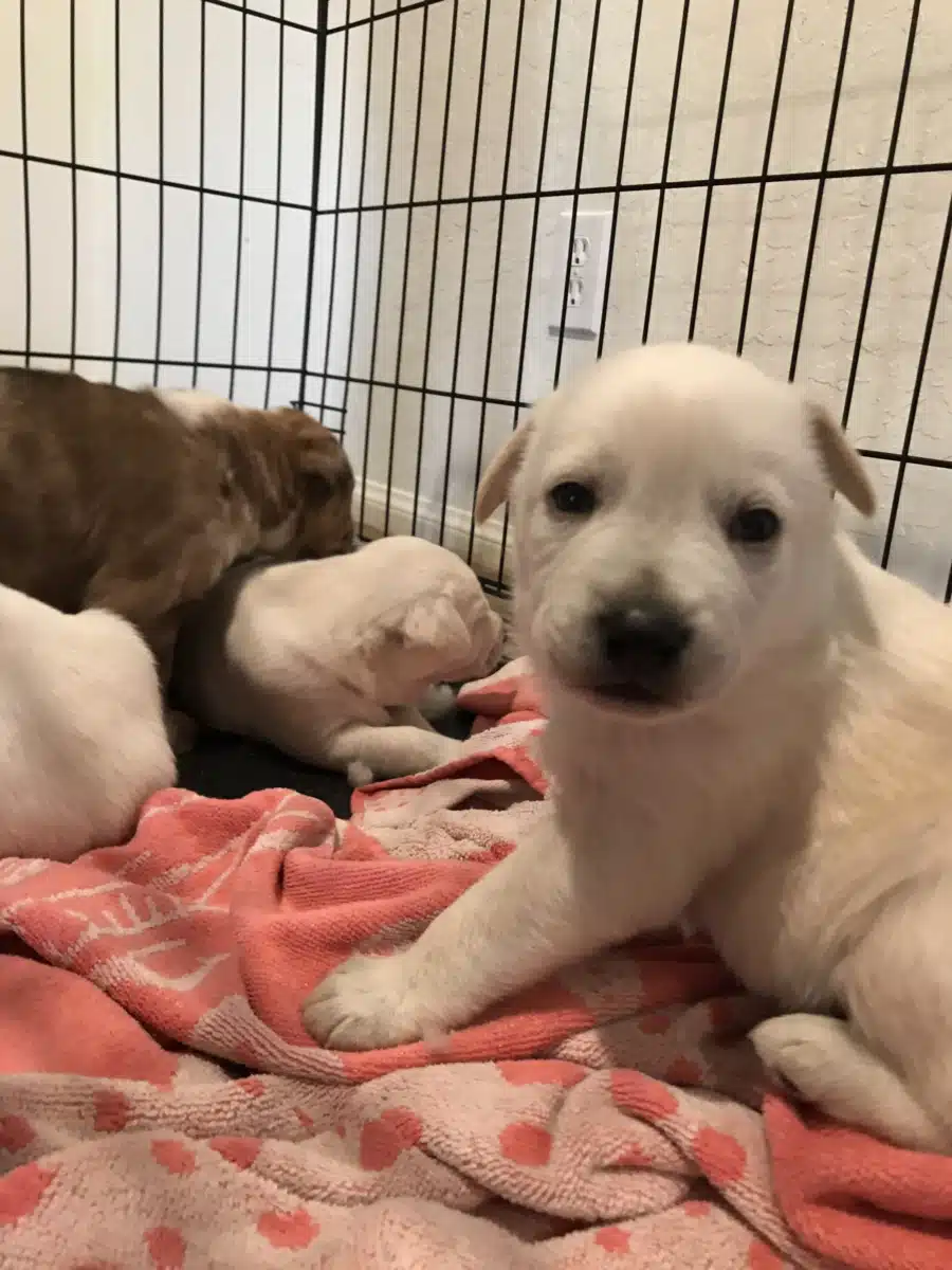 Rancho Milagro Recovery Inc - Thumbnail 10