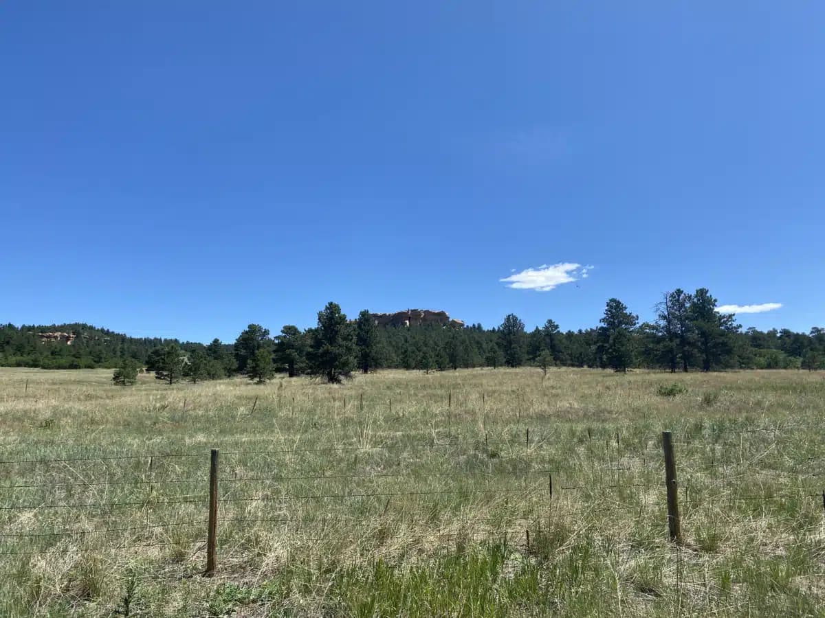 Recovery Village at Palmer Lake - Thumbnail 5