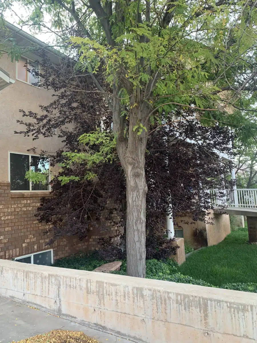 Red Circle Lodge - Thumbnail 2