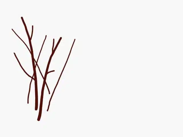 Red Willow Counseling and Recovery - Thumbnail 8