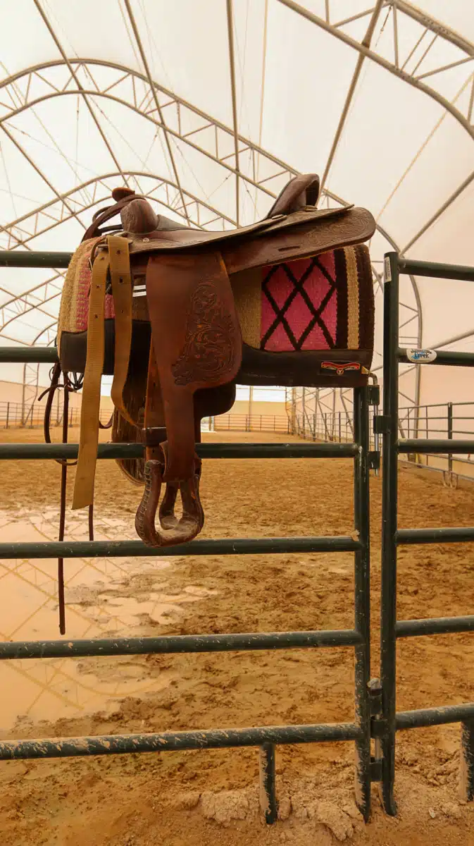 Renewed Hope Ranch - Thumbnail 10