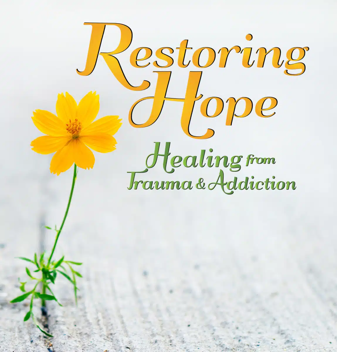 Restoring Hope - Thumbnail 3
