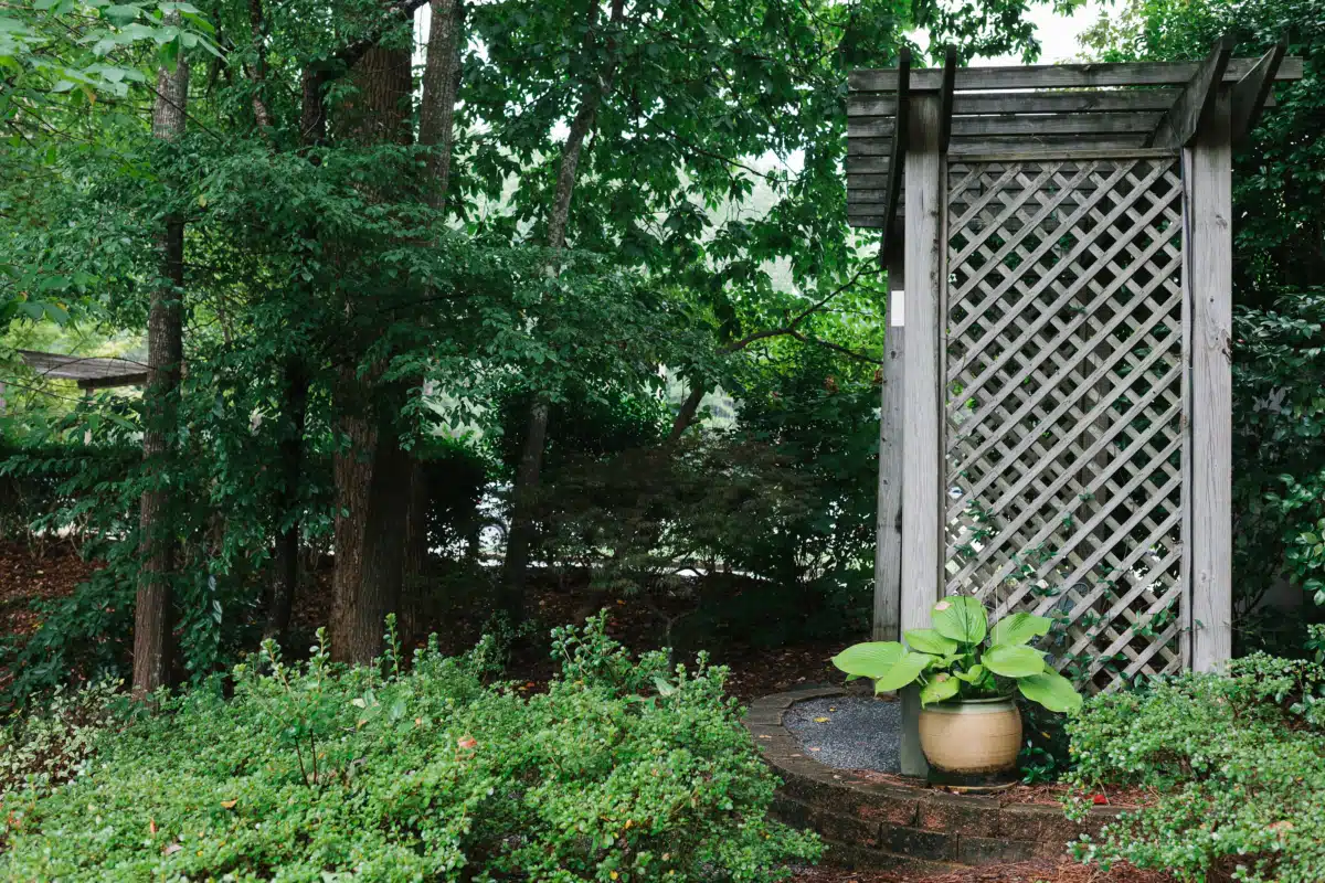 Ridgeview Institute Smyrna - Thumbnail 9