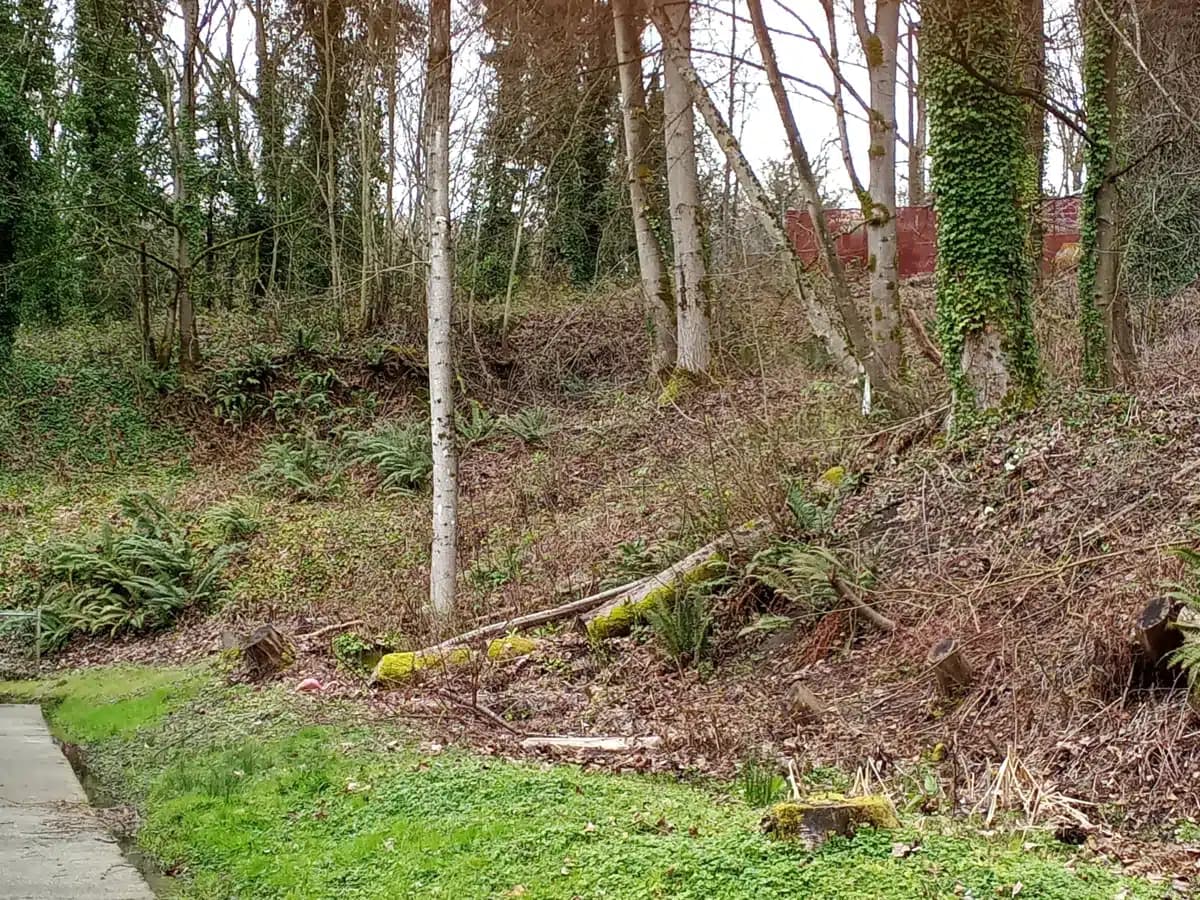 Riverton Place - Thumbnail 6