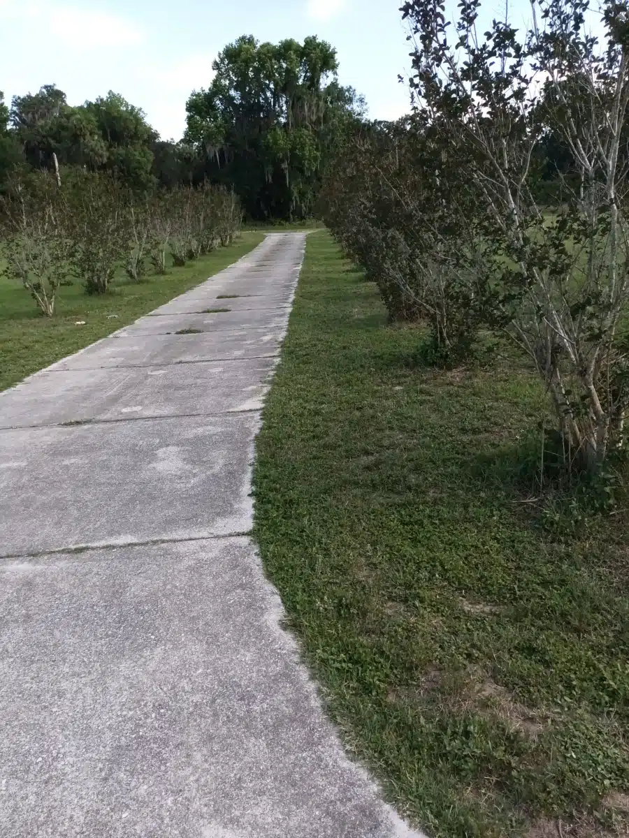 SMA Adult Residential - Thumbnail 6