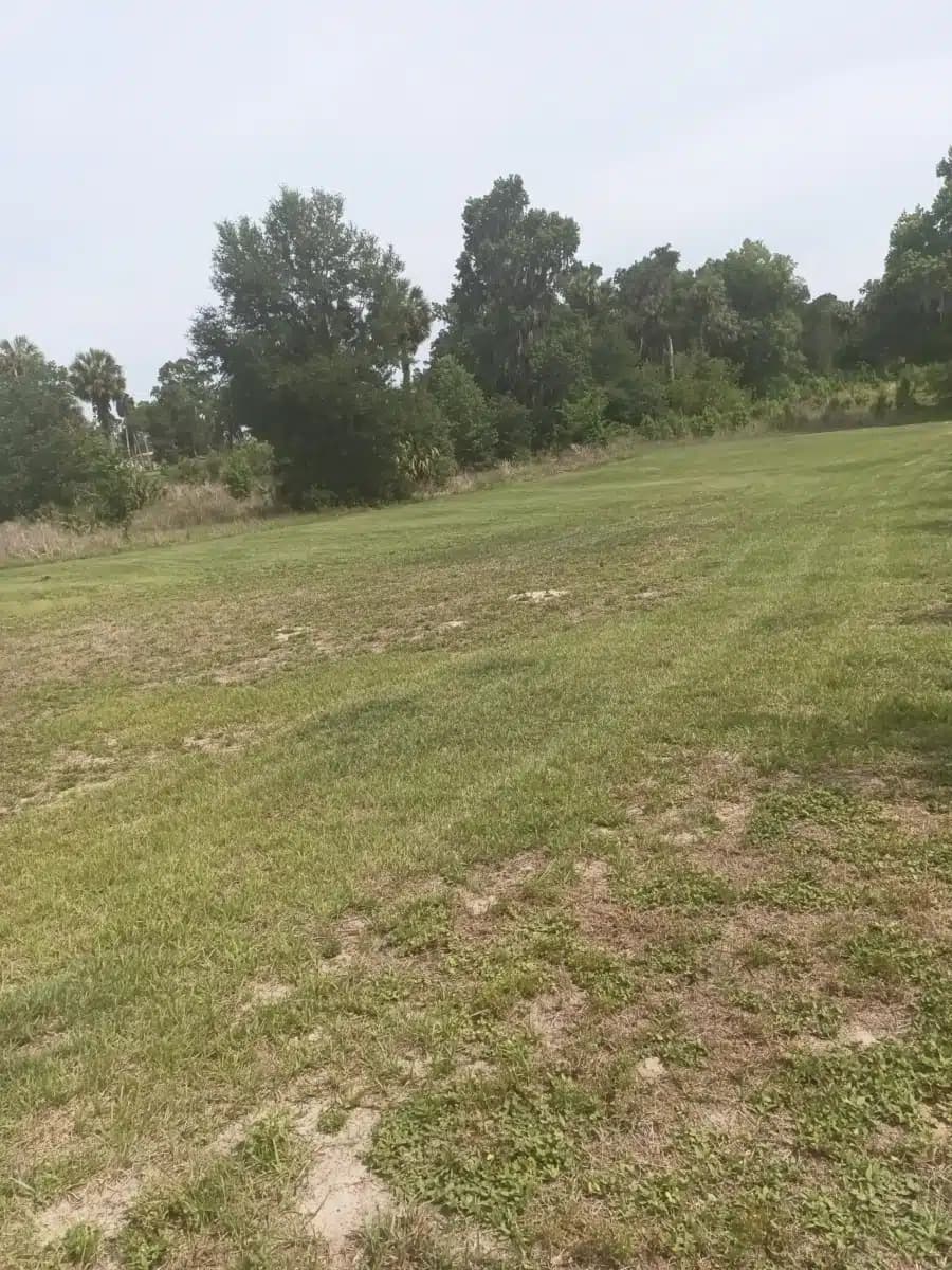 SMA Crisis - Thumbnail 8