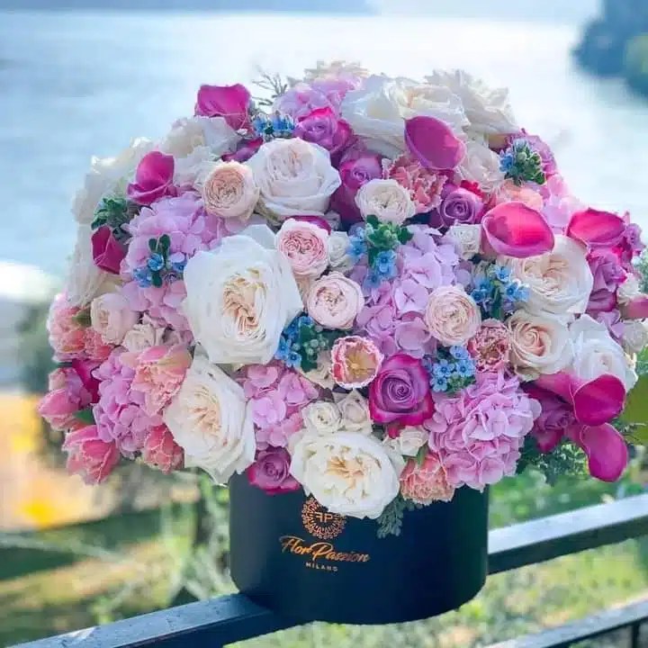 Saint Clares Behavioral Health - Thumbnail 5