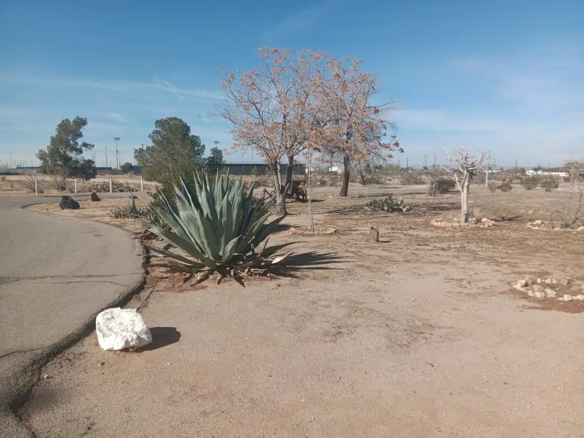 Saint John of God Healthcare Services - Thumbnail 2