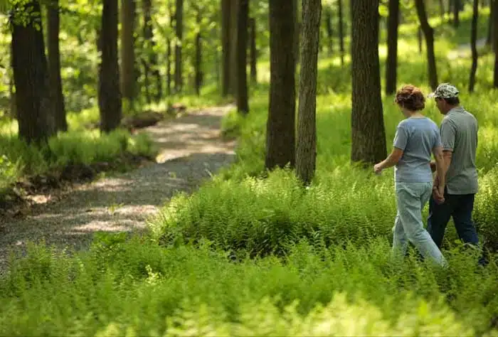 Saint Joseph Institute - Thumbnail 10