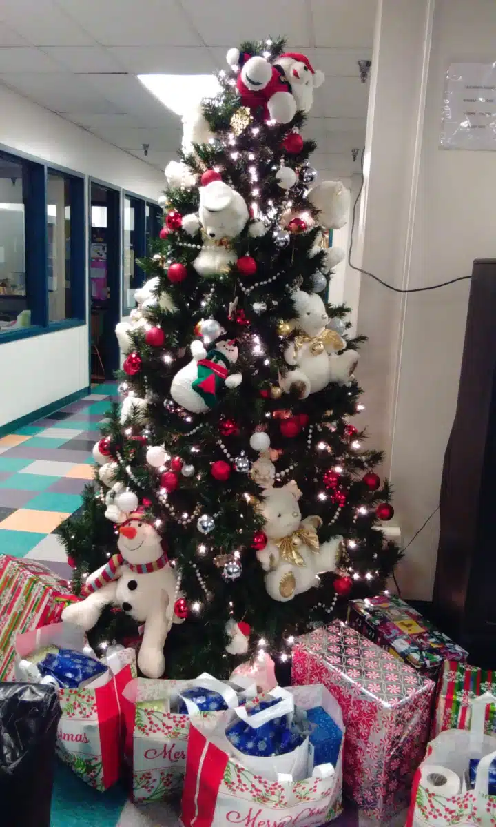 Saint Patrick Center - Thumbnail 3