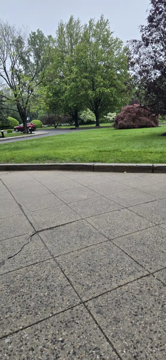 Saint Vincents Westchester Divison of - Thumbnail 3