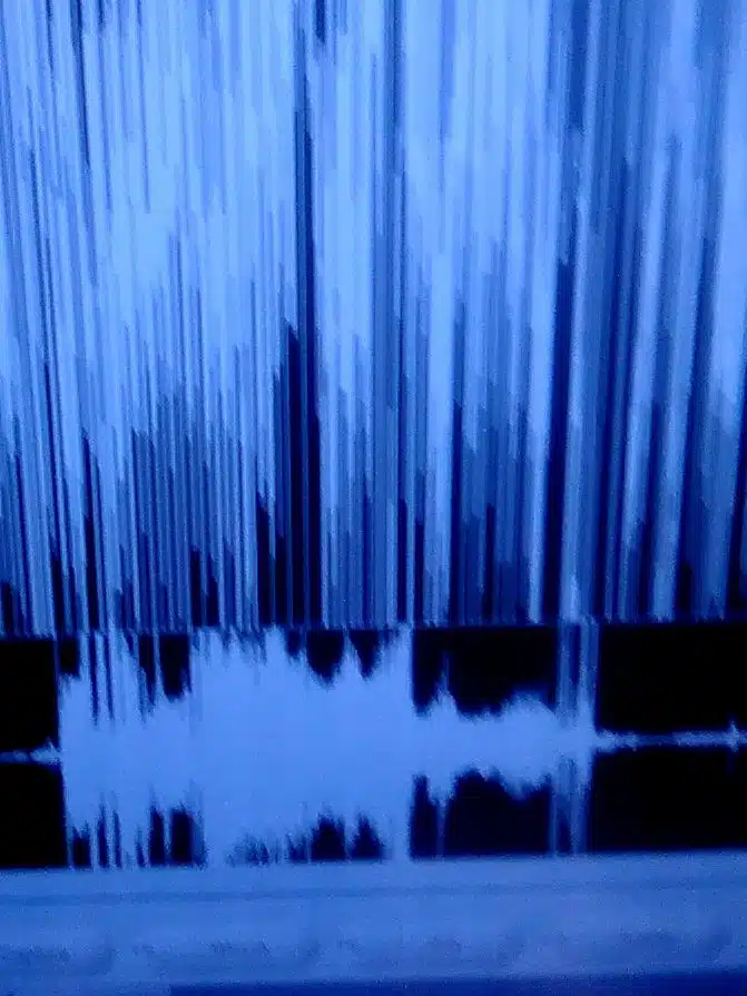 Sea Mar Behavioral Health - Thumbnail 8