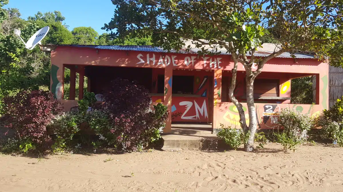 Shade of the Tree - Thumbnail 2