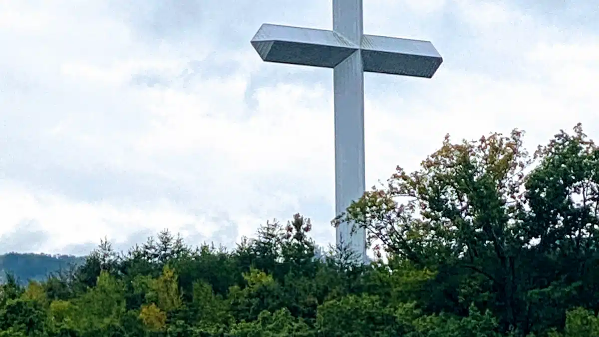 Shepherds Shelter/Ross Rehab - Thumbnail 8