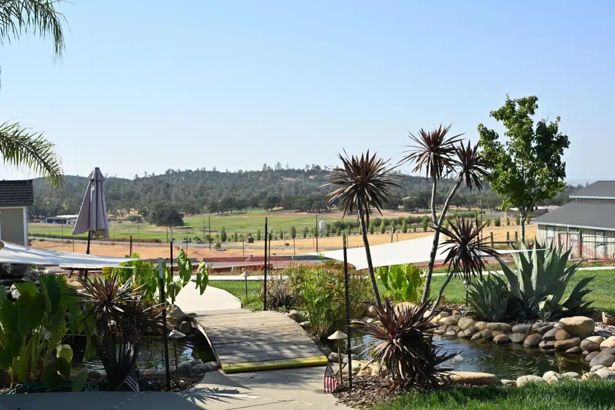 Sierra Health and Wellness Centers - Thumbnail 9