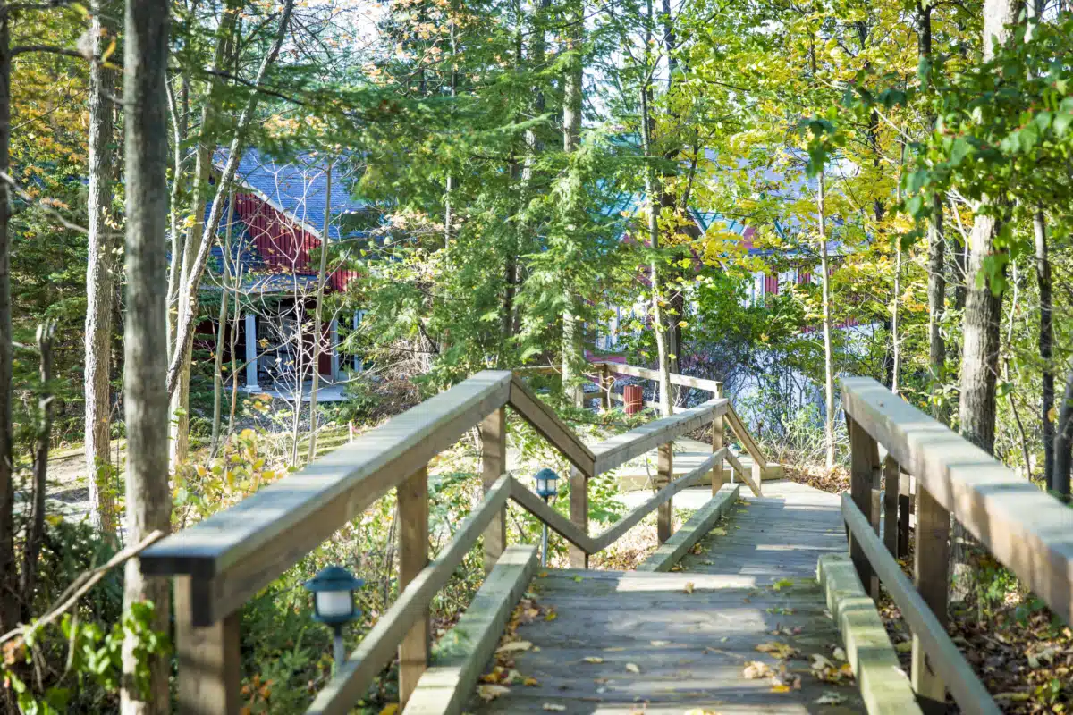 Skywood Recovery - Thumbnail 3