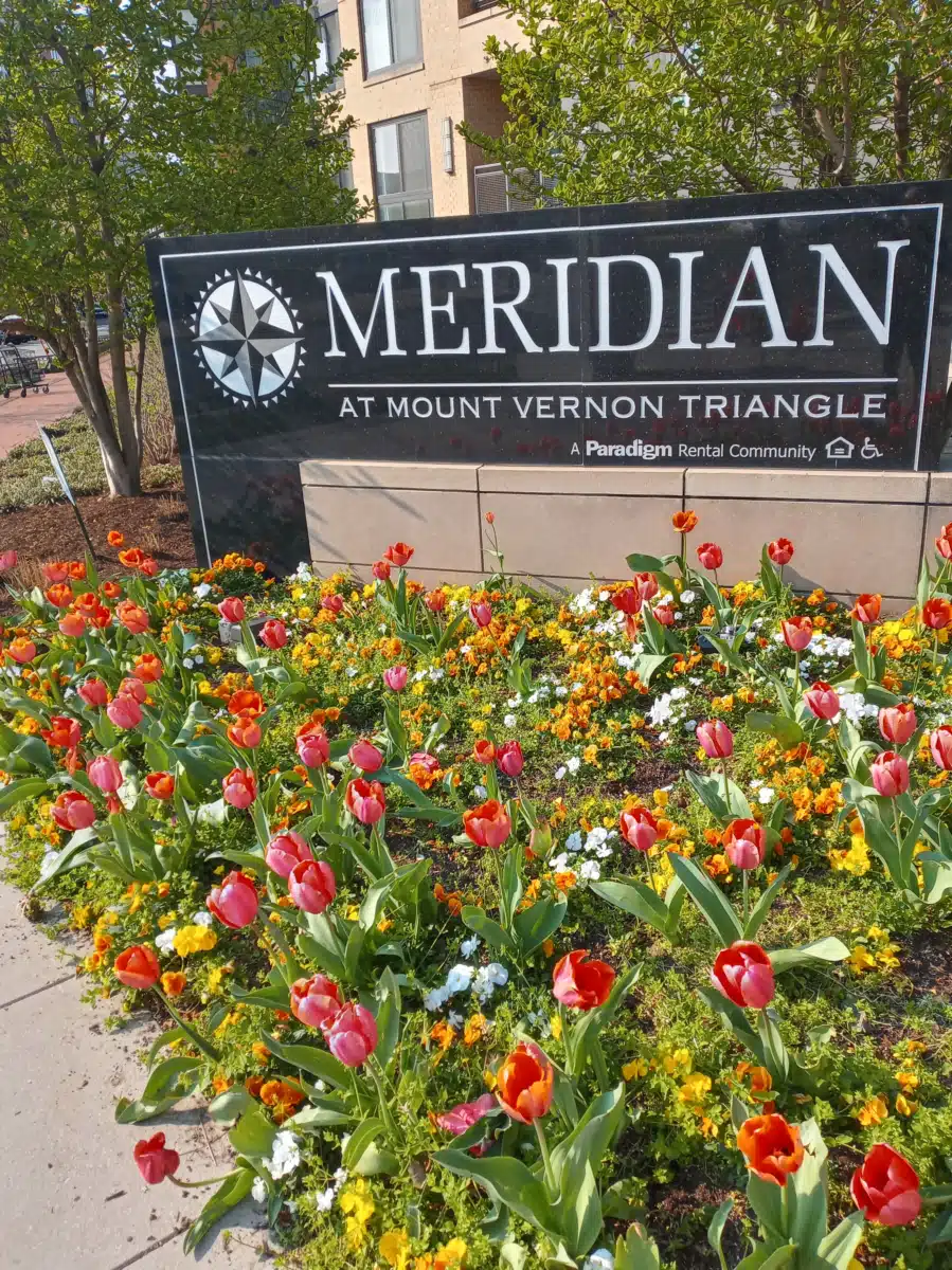 So Others Might Eat Inc (SOME) - Thumbnail 8