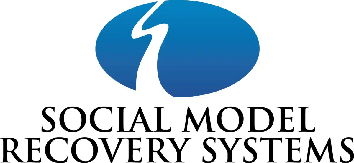 Social Model Recovery Systems - Thumbnail 2