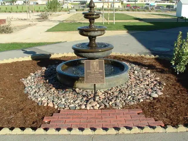 Social Science Services Inc - Thumbnail 2