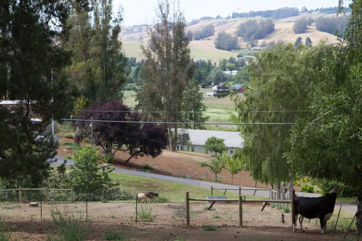 Sonoma Recovery Services LLC - Thumbnail 6