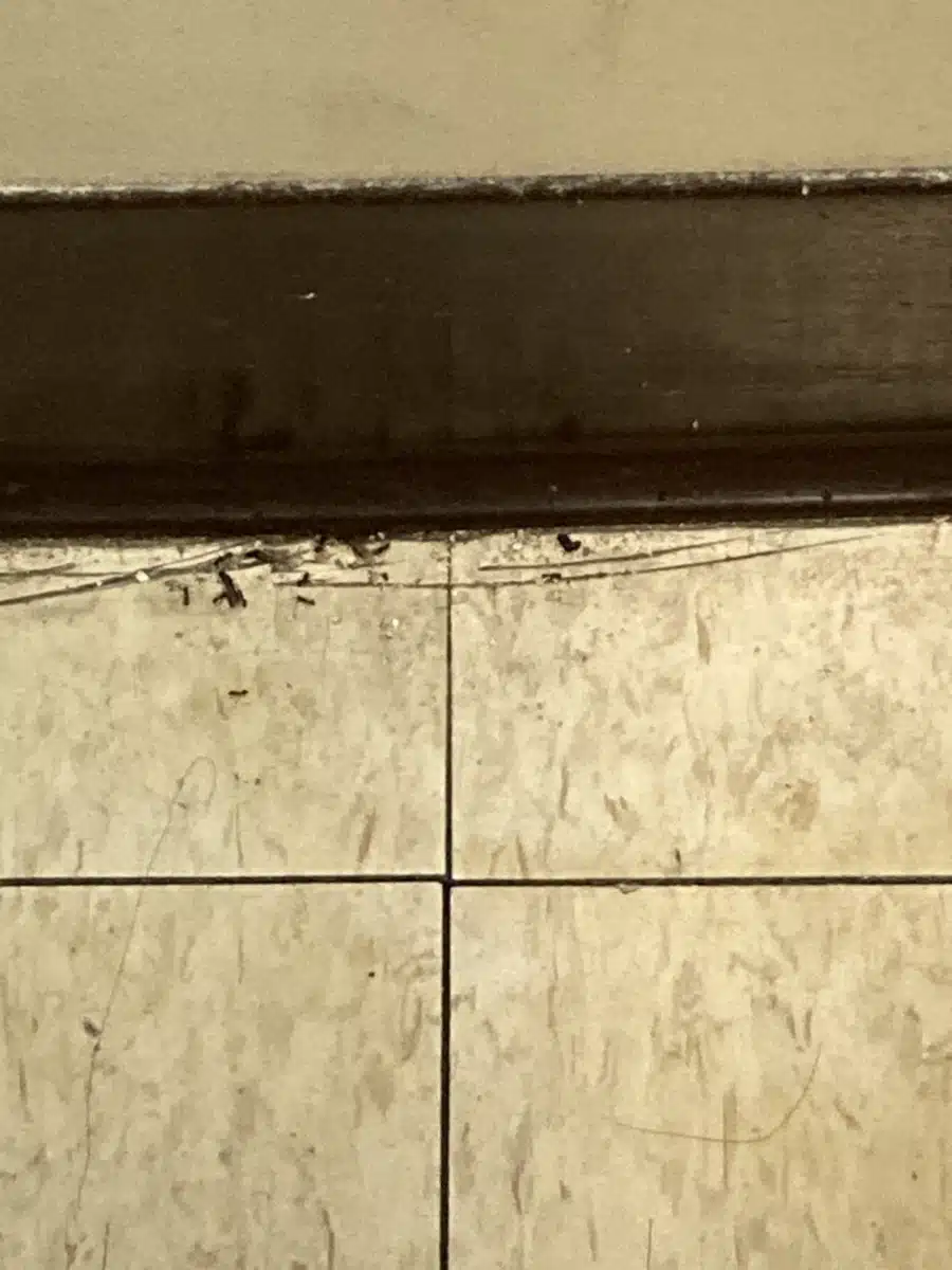 South Shore Hospital - Thumbnail 8