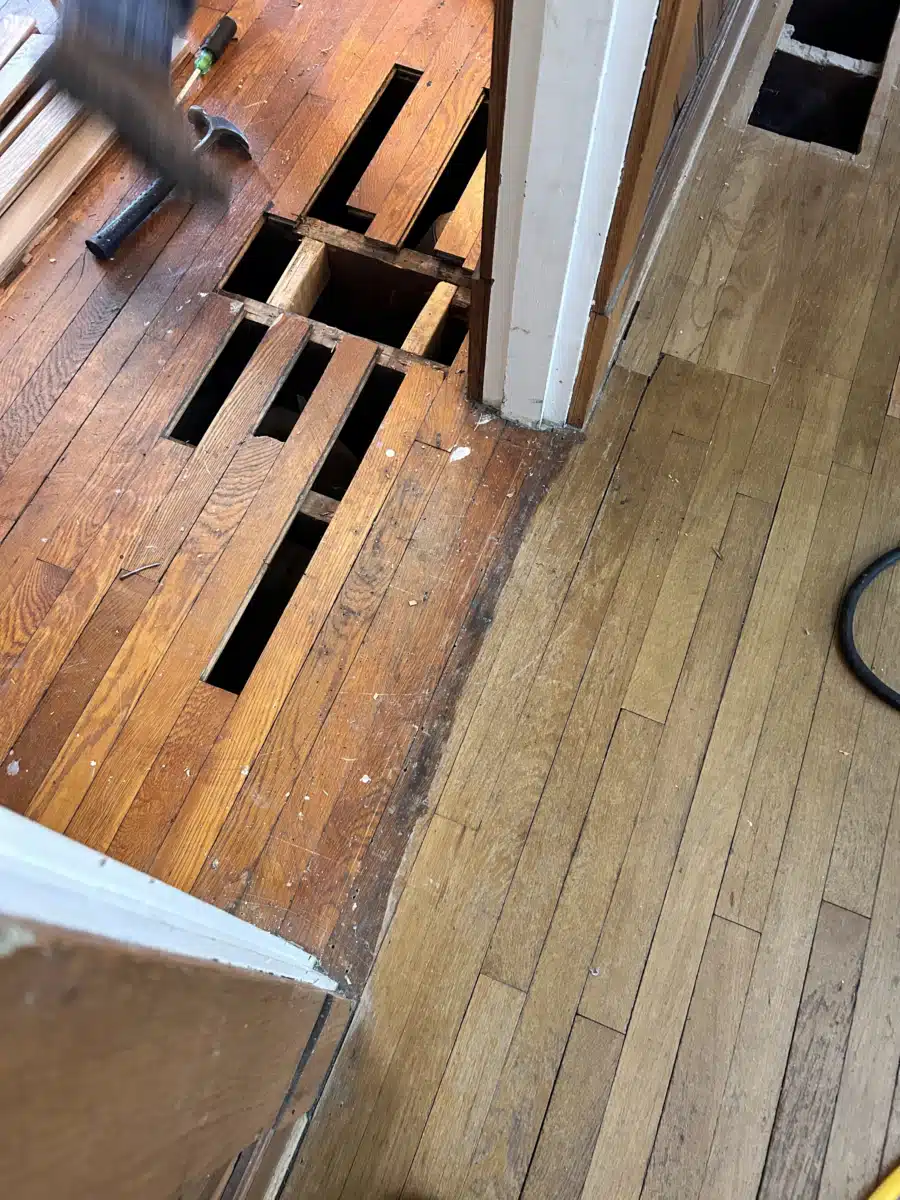 Spero Health - Thumbnail 10