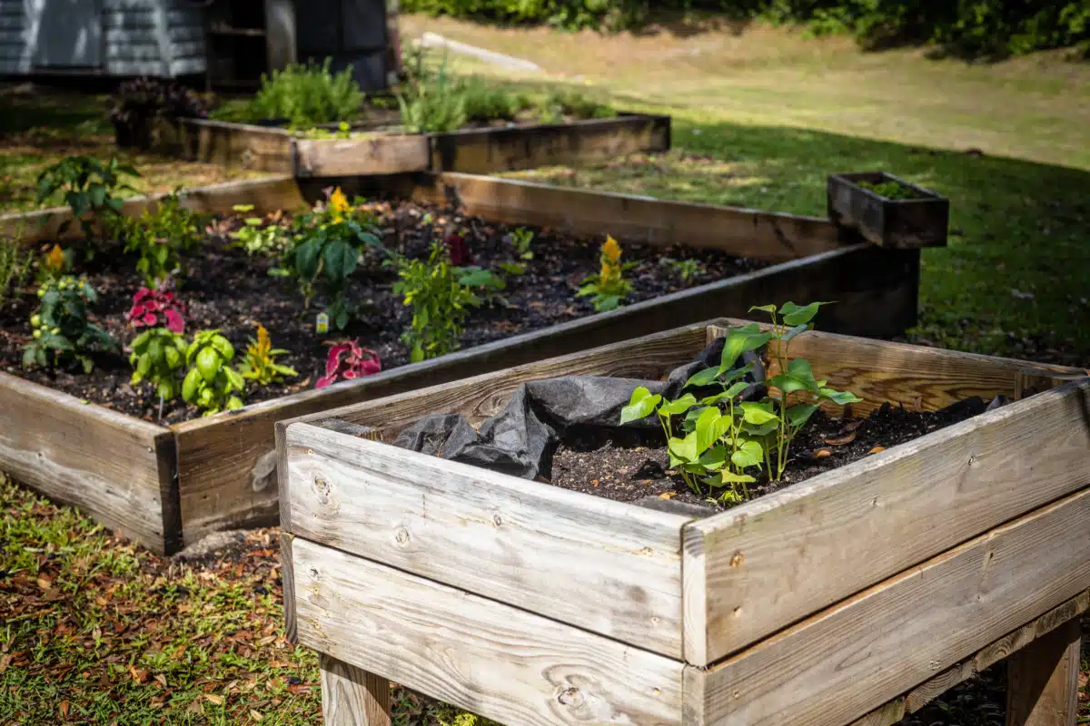 Spring Gardens Recovery - Thumbnail 5