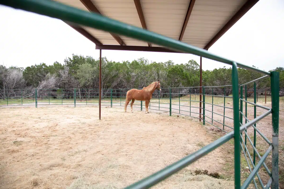 Starlite Recovery Center - Thumbnail 7