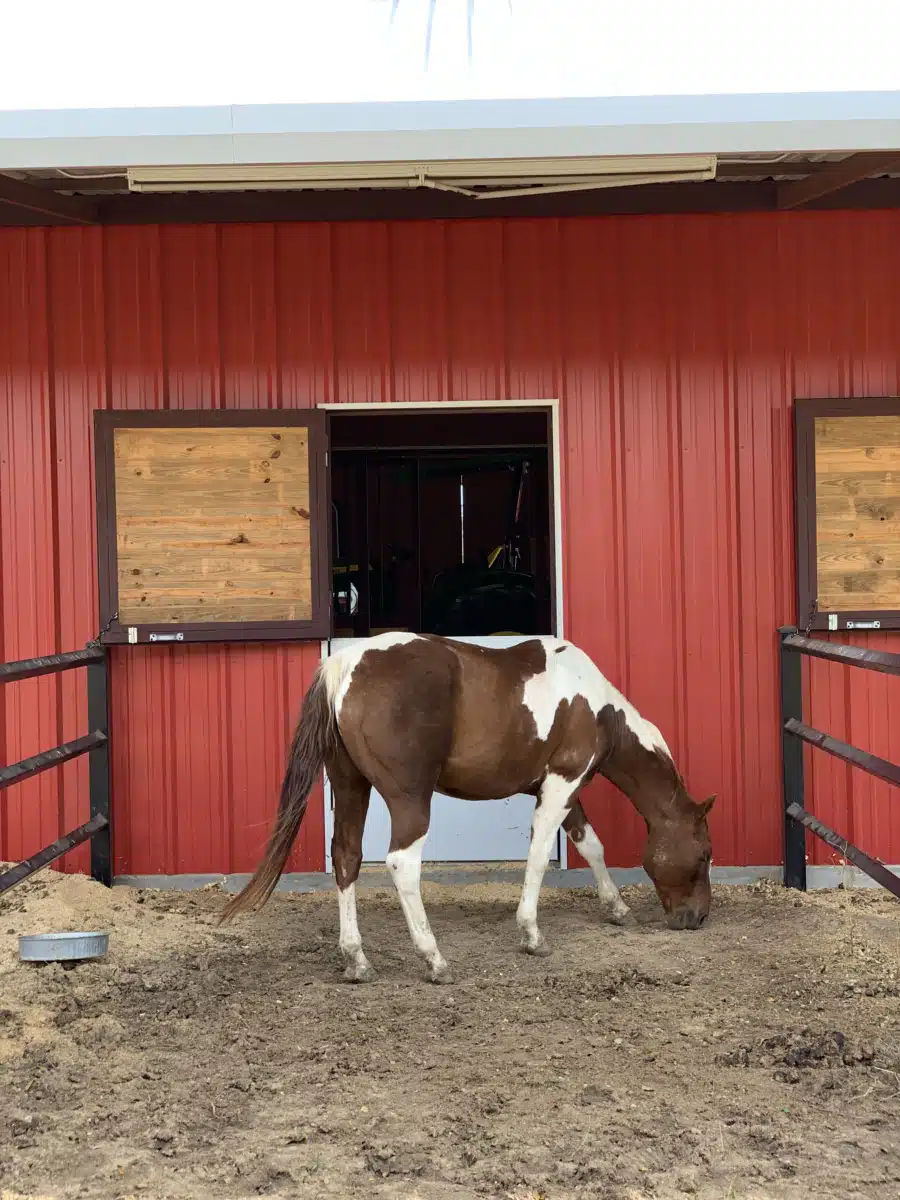 Stonegate Center - Thumbnail 8