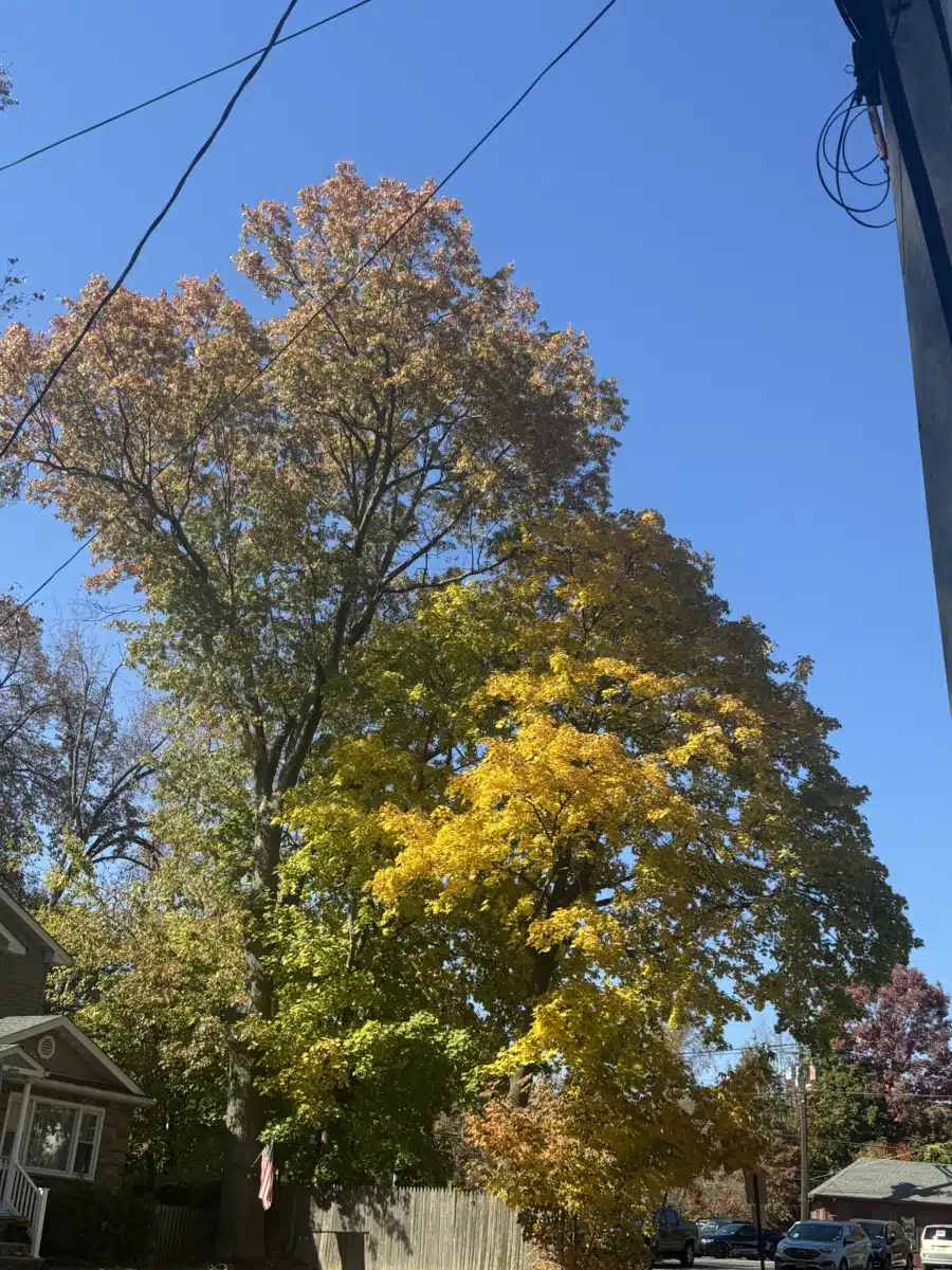 Summit Oaks Hospital - Thumbnail 7