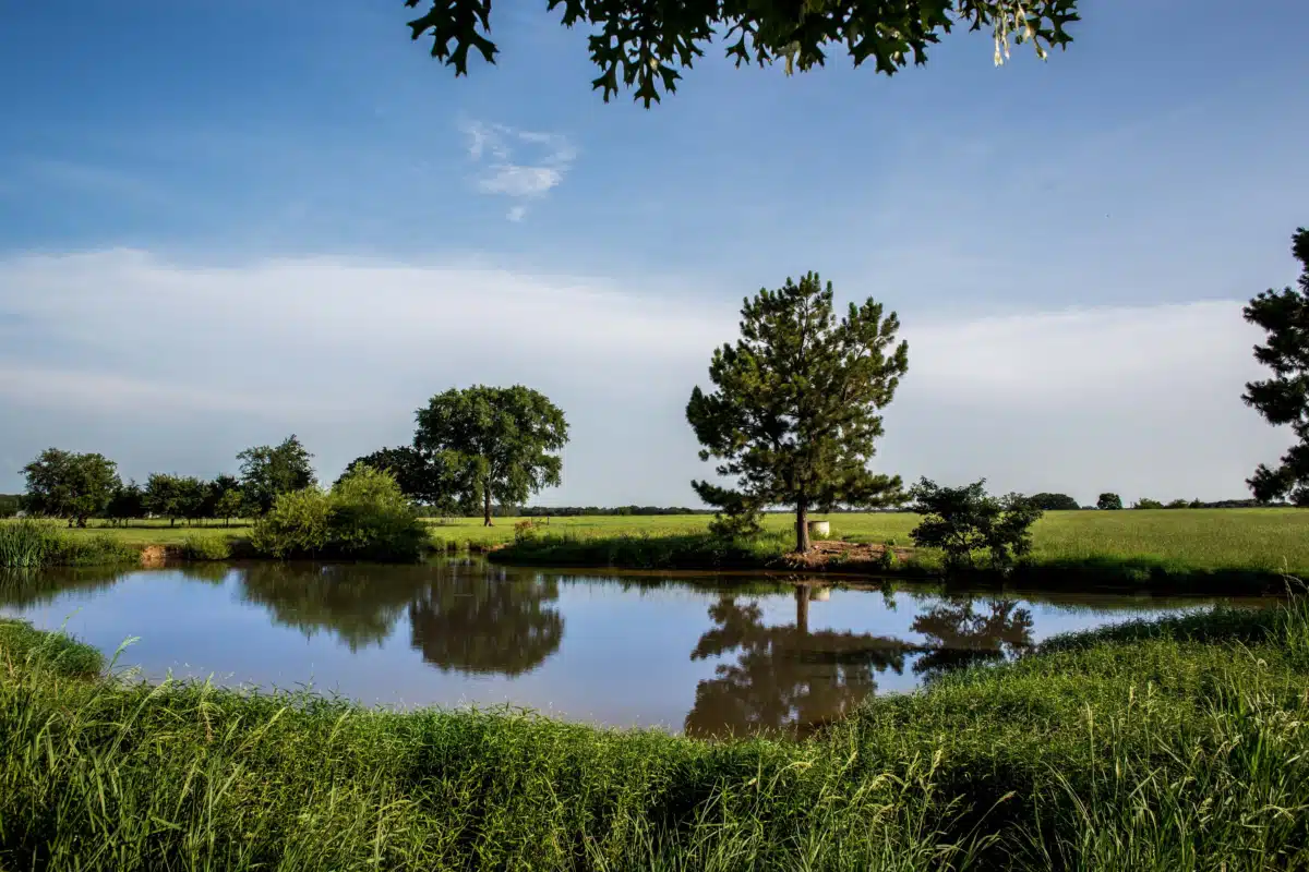 Sundown Ranch Inc - Thumbnail 4