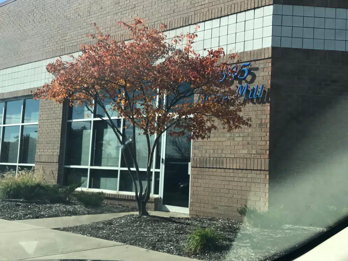 Syntero - Thumbnail 3