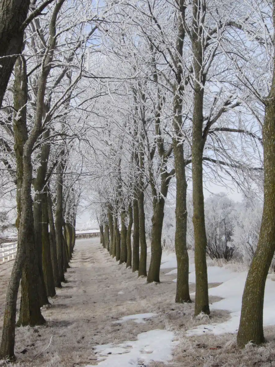 Tallgrass Recovery and - Thumbnail 2