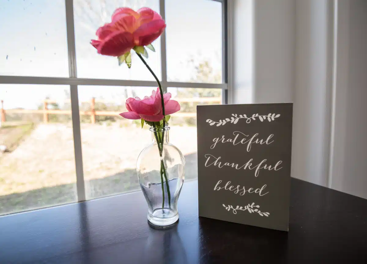 Teen Project Inc - Thumbnail 3