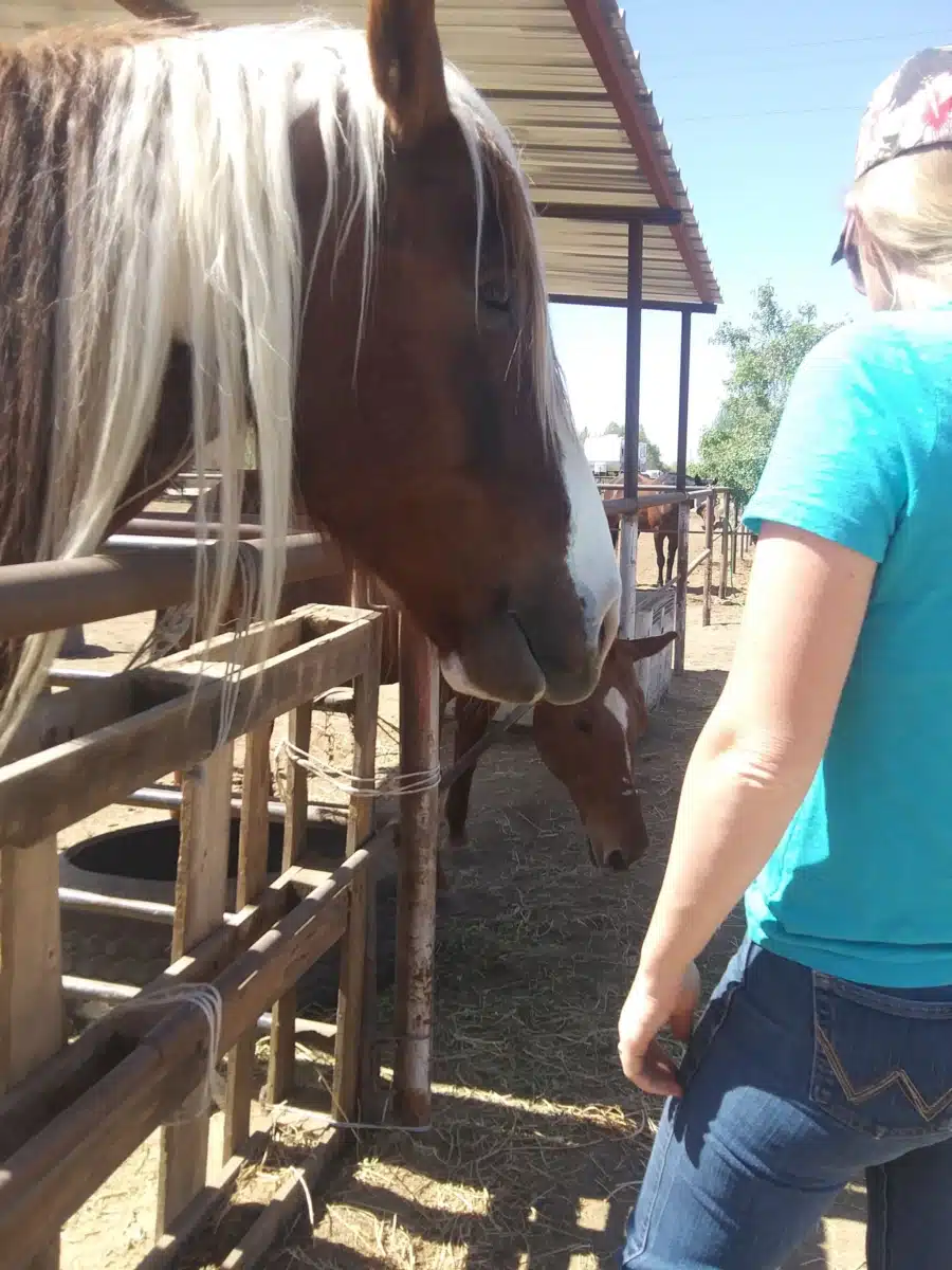 Teens Living Clean - Thumbnail 4